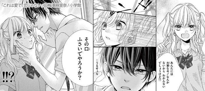 【期間限定　無料お試し版　閲覧期限2026年5月3日】これは愛で、恋じゃない 1のコマ