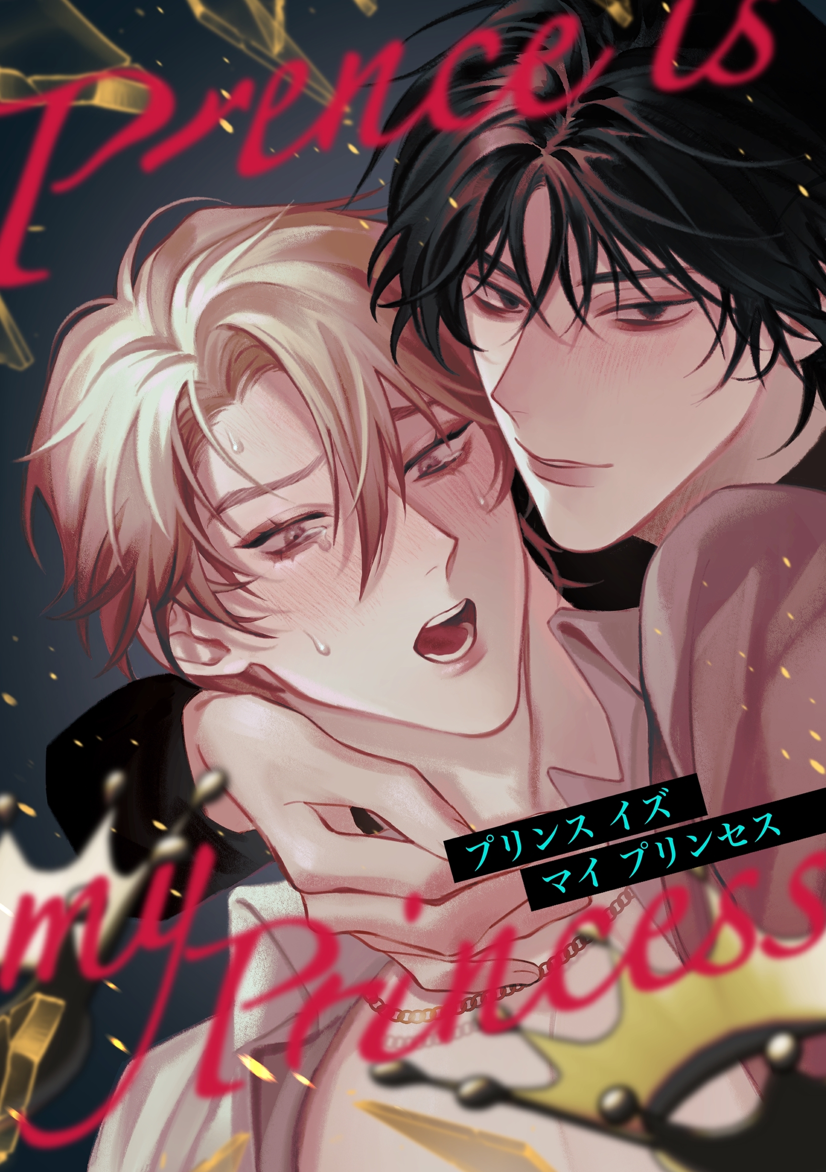 プリンスイズマイプリンセス（全年齢版）