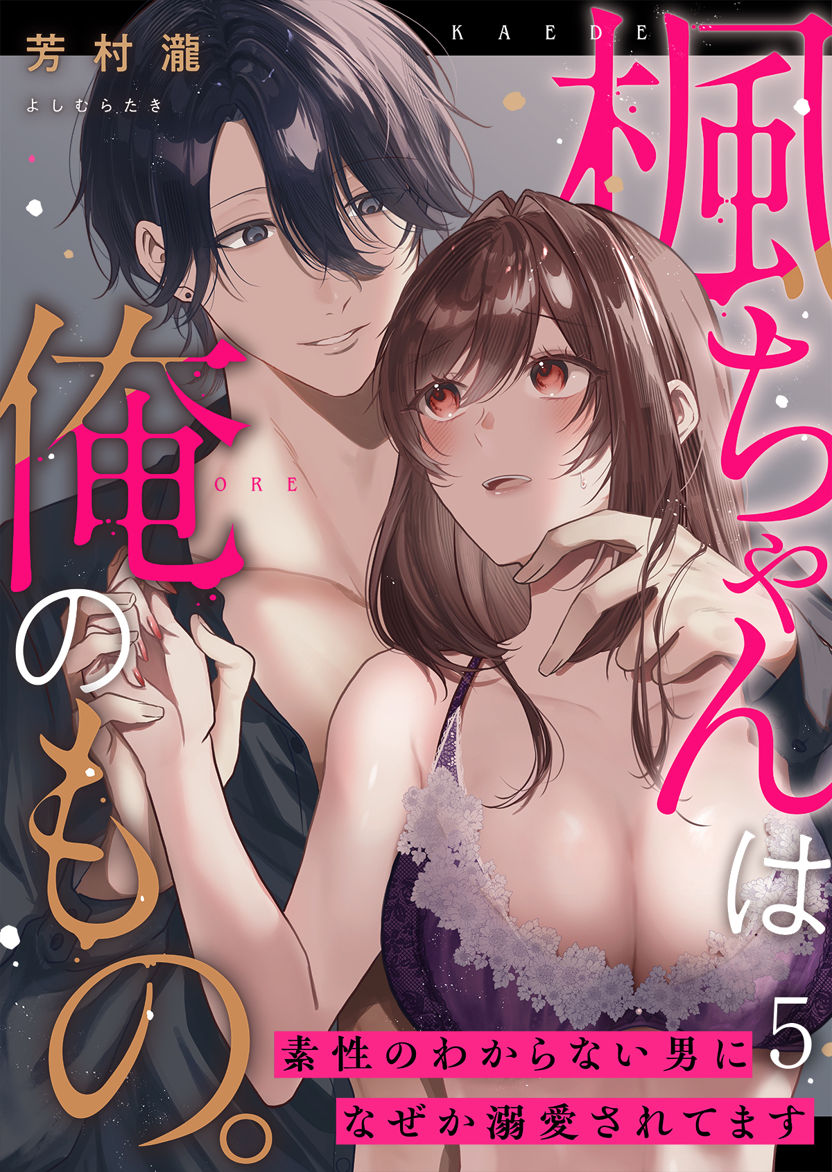 楓ちゃんは俺のもの。～素性のわからない男になぜか溺愛されてます～第5話