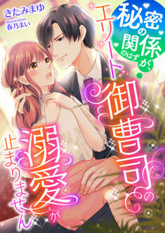 秘密の関係のはずが、エリート御曹司の溺愛が止まりません