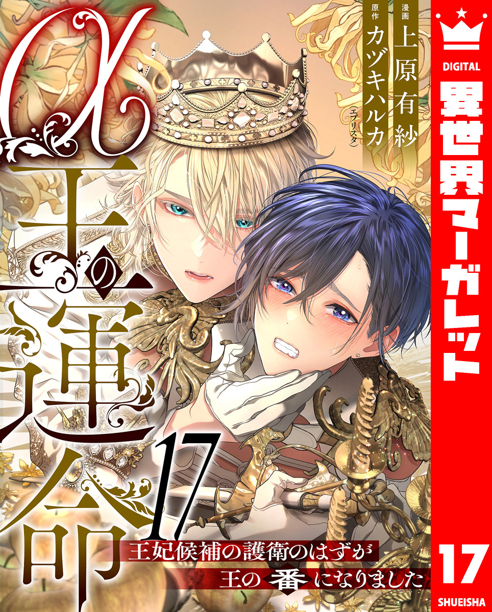 α王の運命～王妃候補の護衛のはずが王の番になりました～ 17