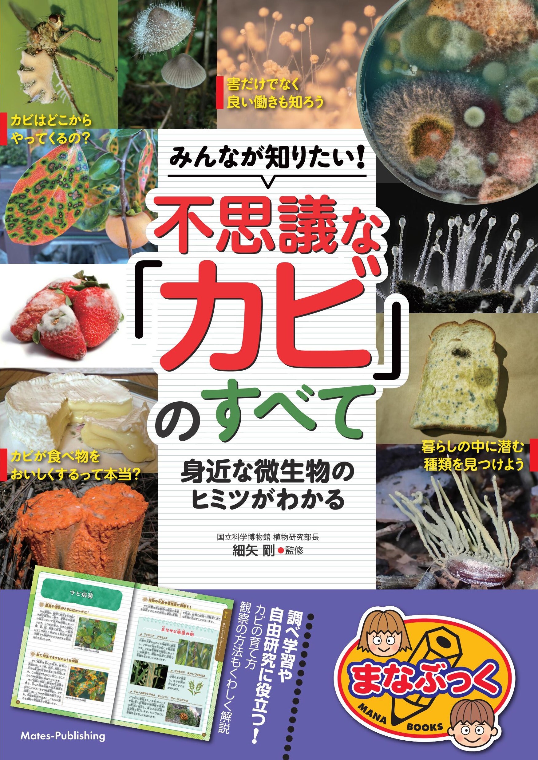 みんなが知りたい！ 不思議な「カビ」のすべて 身近な微生物のヒミツがわかる