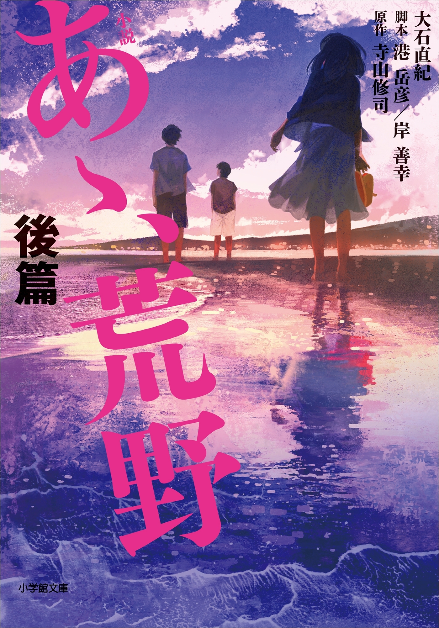小説　あゝ、荒野