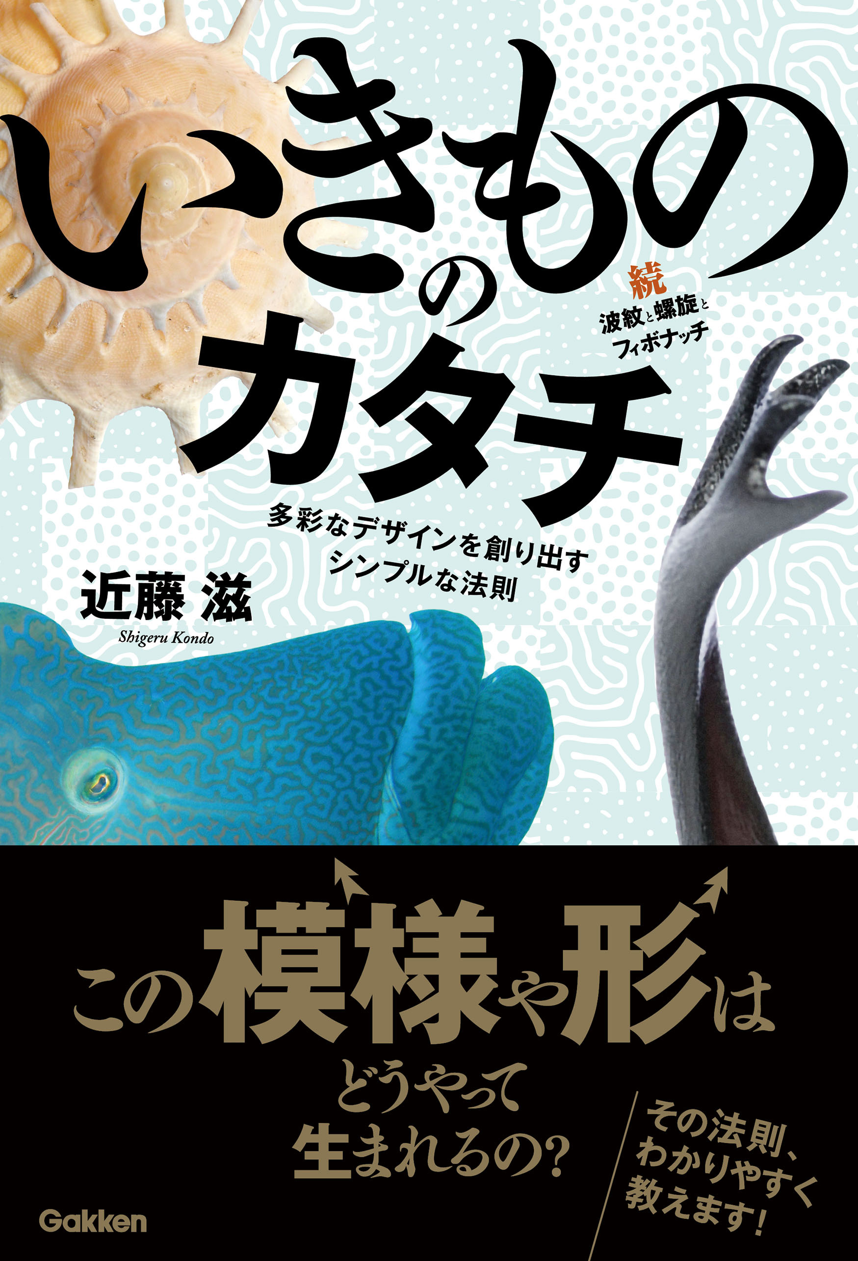 いきもののカタチ 続・波紋と螺旋とフィボナッチ 多彩なデザインを創り出すシンプルな法則
