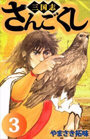 さんごくし3