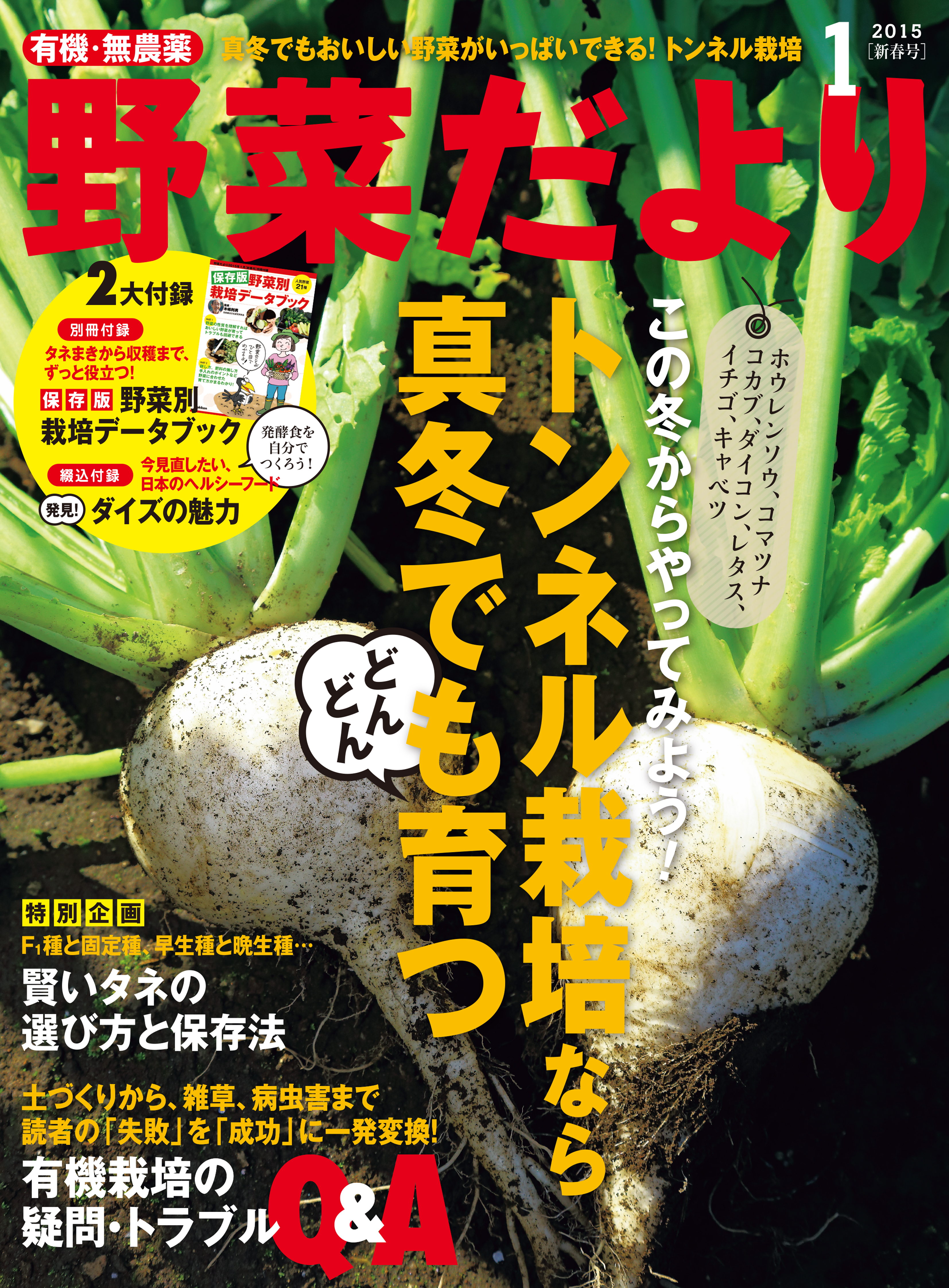 野菜だより2015年1月号