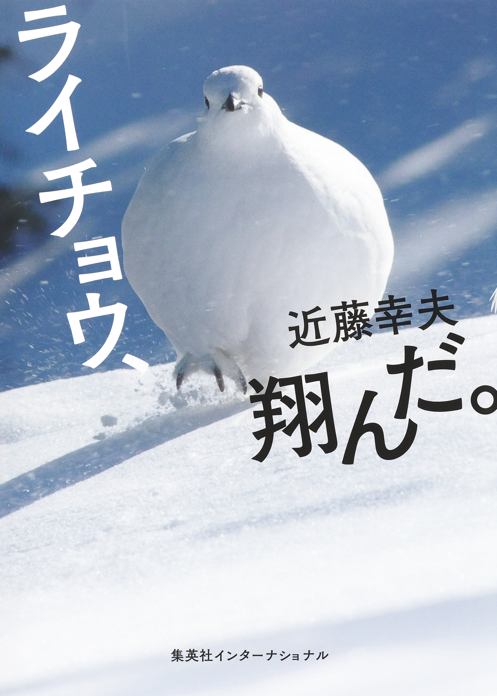 ライチョウ、翔んだ。（集英社インターナショナル）