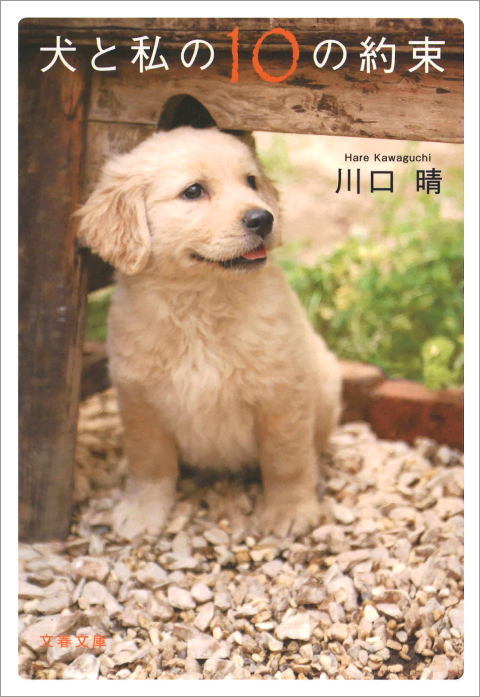 犬と私の10の約束