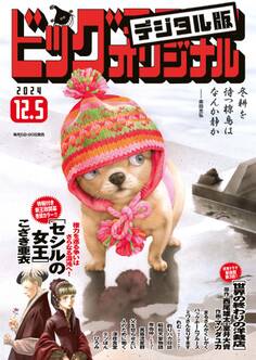 ビッグコミックオリジナル 2024年23号(2024年11月20日発売)