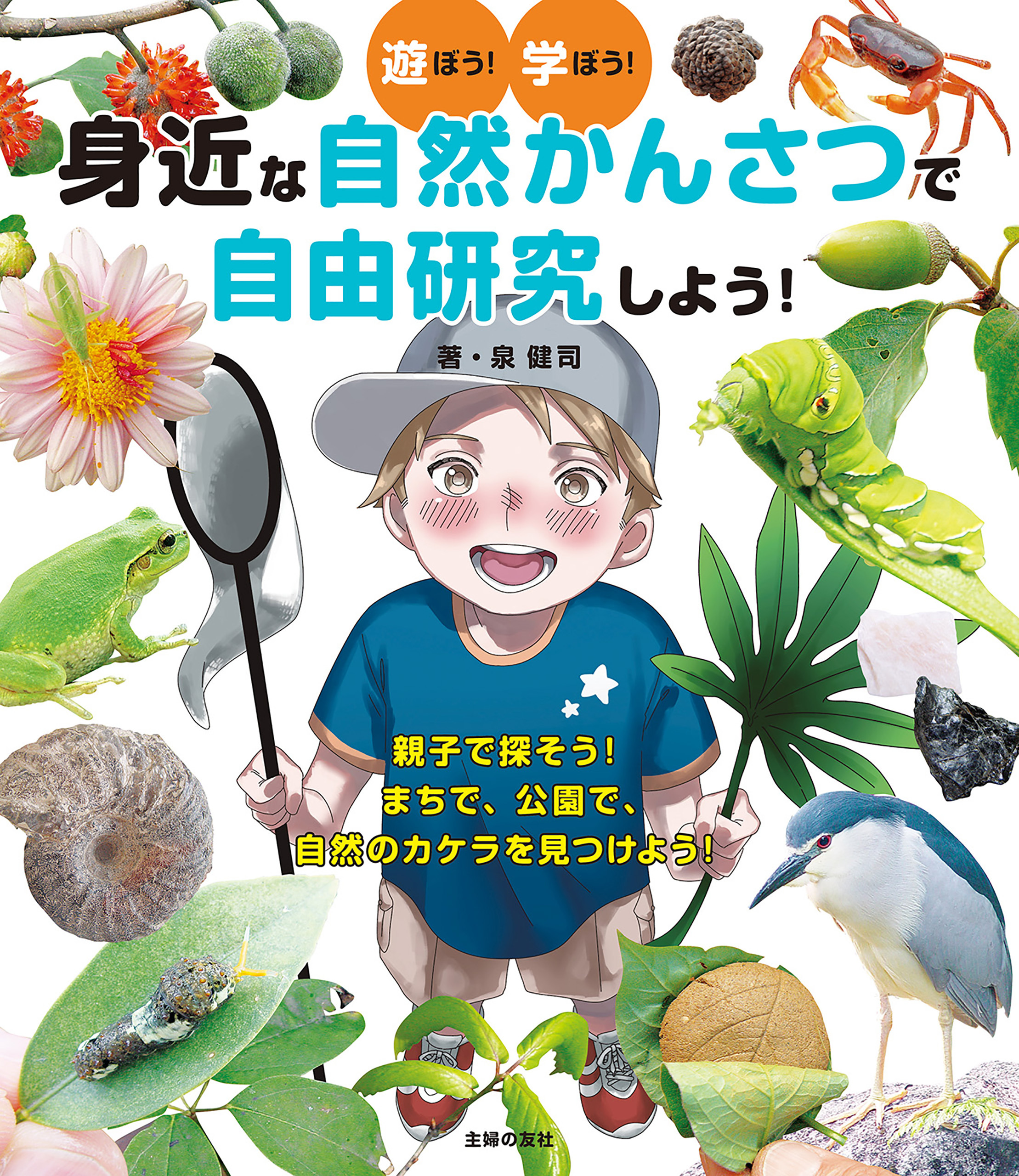 身近な自然かんさつで自由研究しよう！