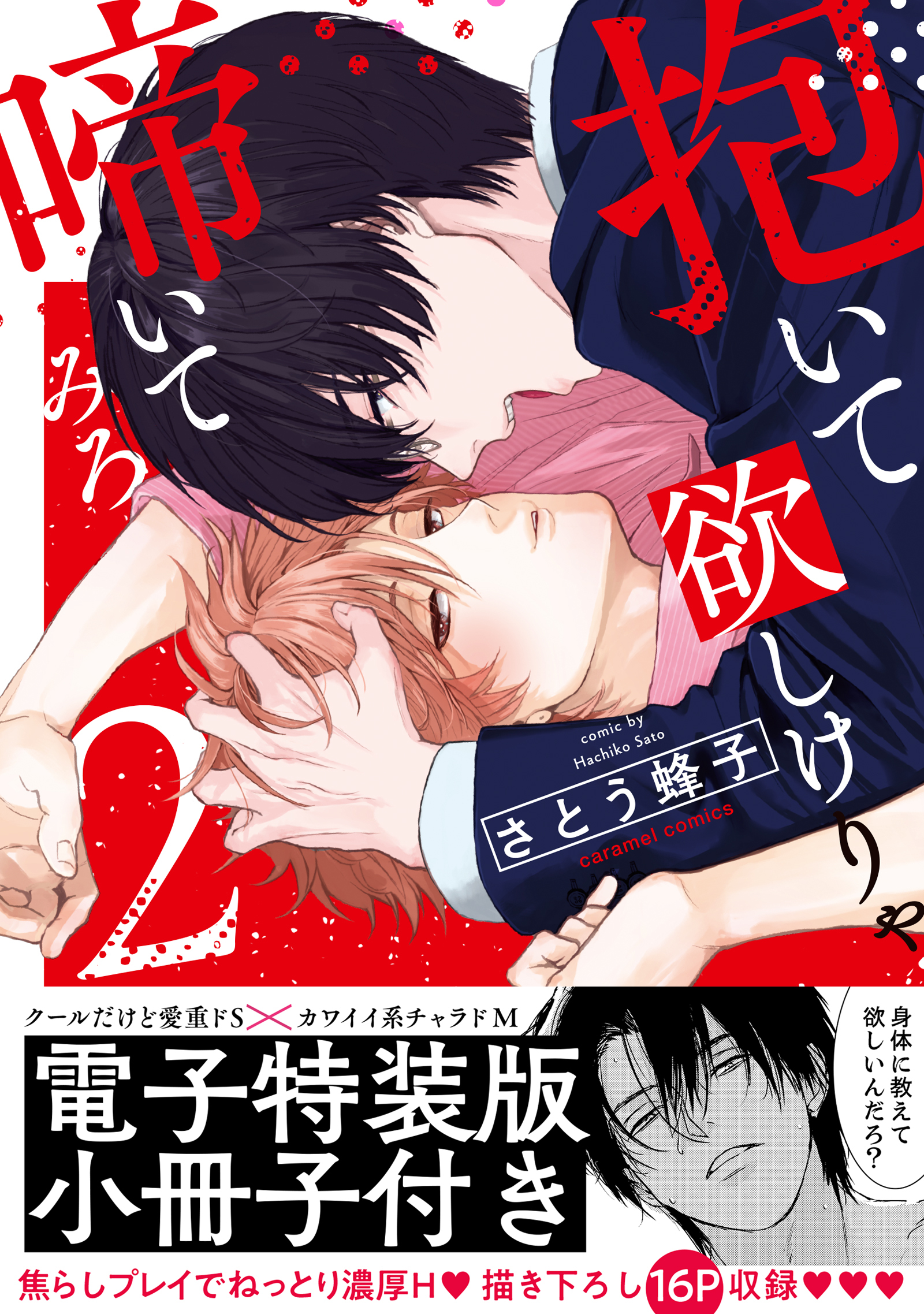 抱いて欲しけりゃ啼いてみろ【単行本版／電子特装版小冊子付き】