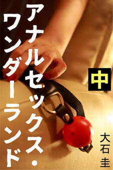 アナルセックス・ワンダーランド 中