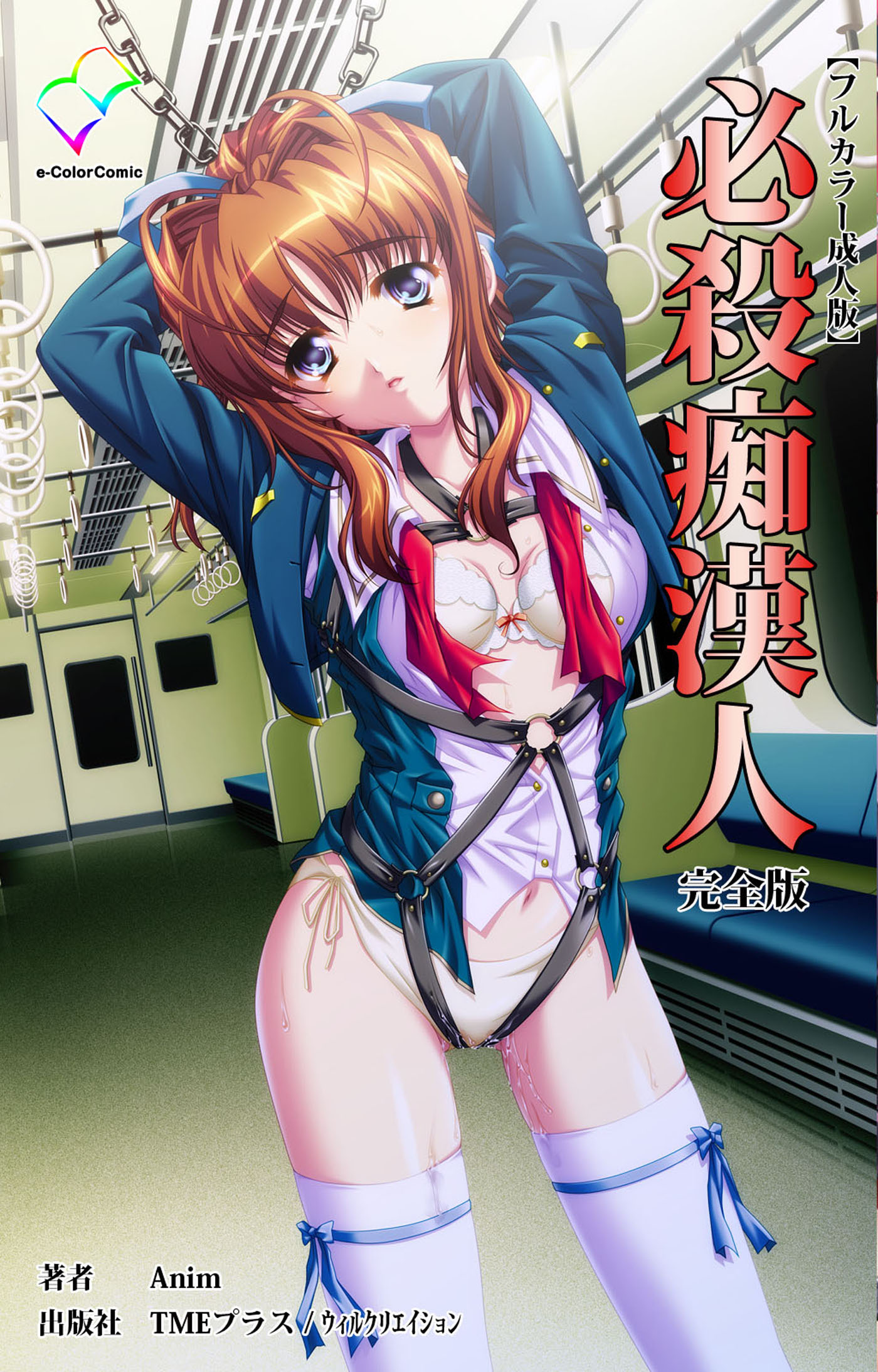 必殺痴漢人 完全版【フルカラー成人版】