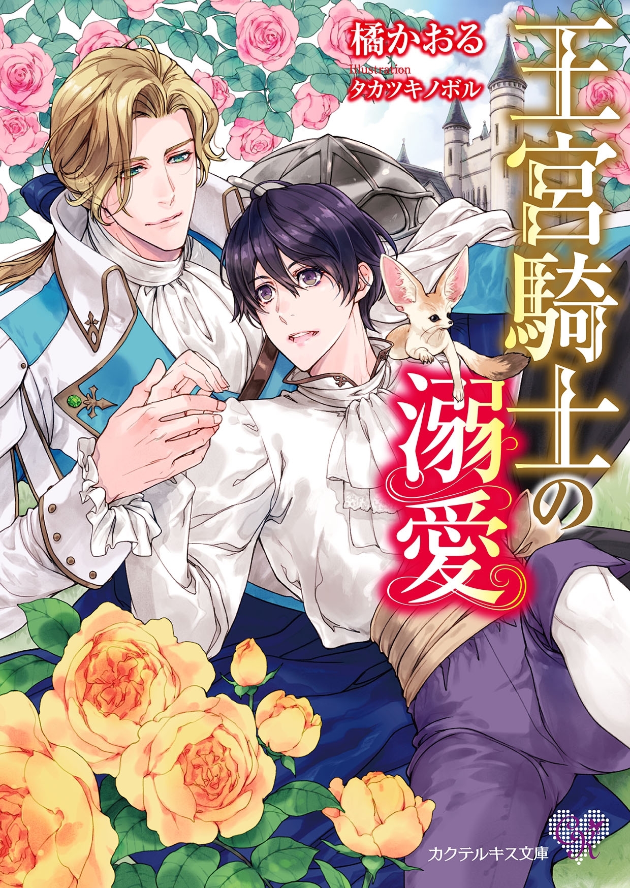 王宮騎士の溺愛