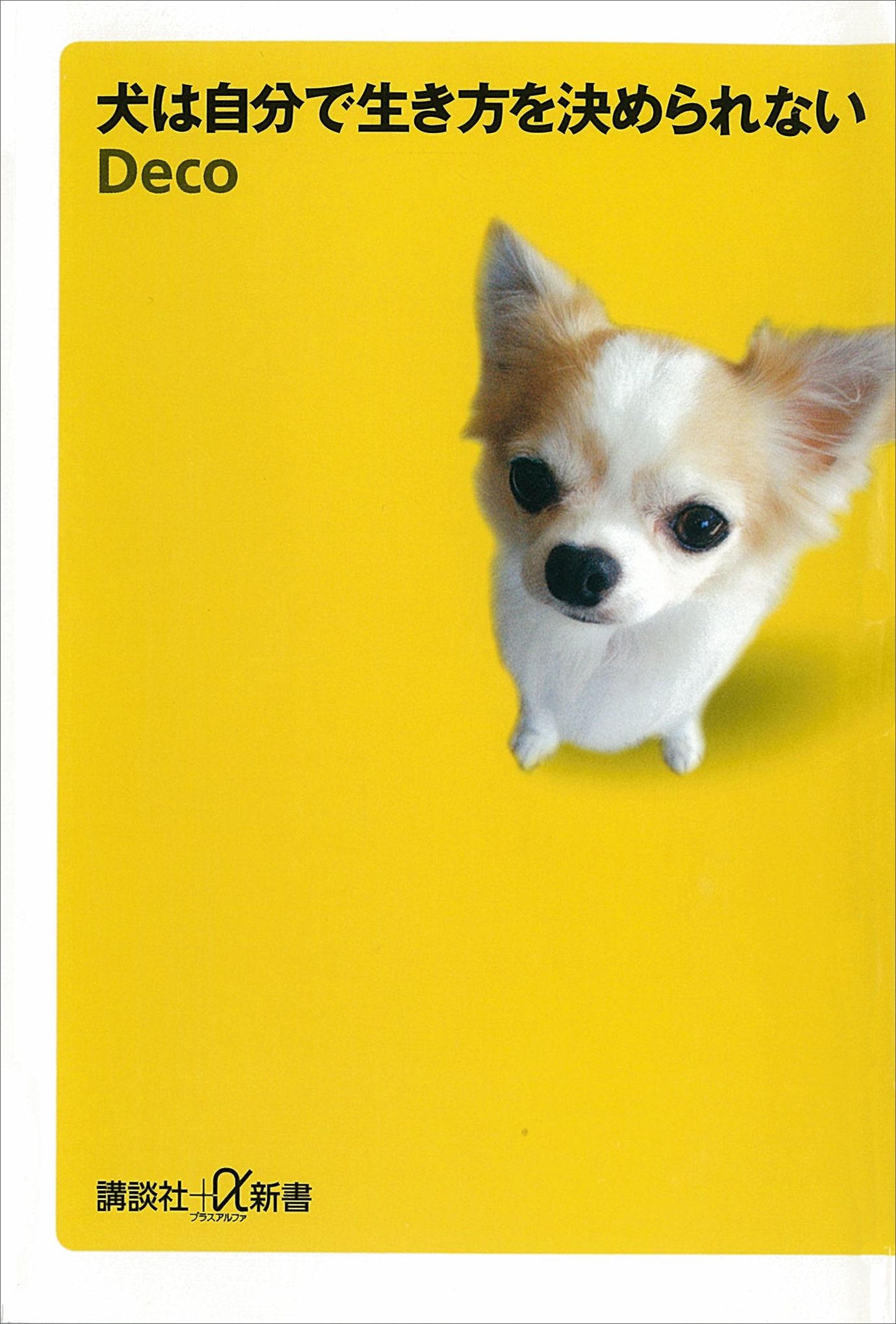 犬は自分で生き方を決められない