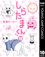 しらたまくん 10