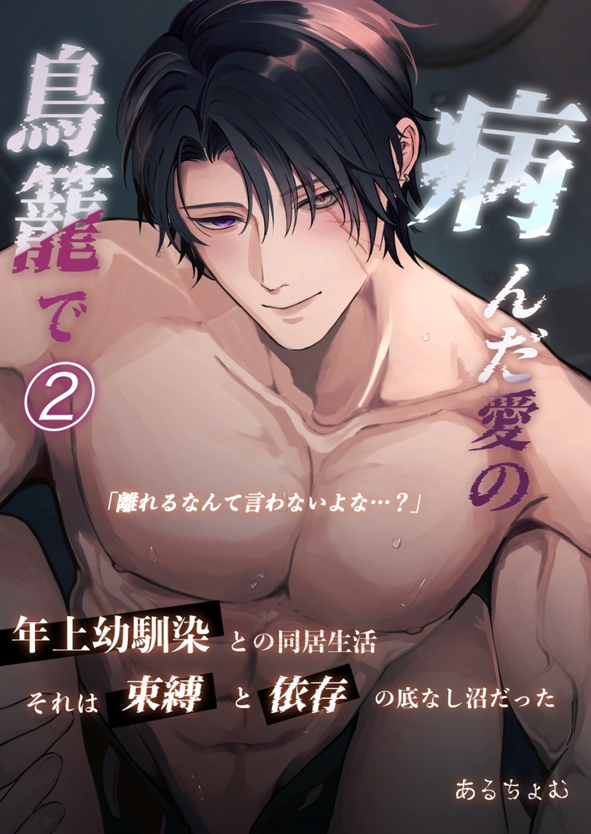 病んだ愛の鳥籠で 2
