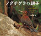 ノグチゲラの親子 ~沖縄やんばるの森にすむキツツキのおはなし~(小学館の図鑑NEOの科学絵本)