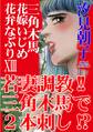 三角木馬 花嫁いじめ花弁なぶり 13(改訂版)