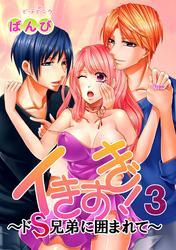 イきすぎ！～ドＳ兄弟に囲まれて～ 3巻