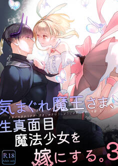 気まぐれ魔王さま、生真面目魔法少女を嫁にする。