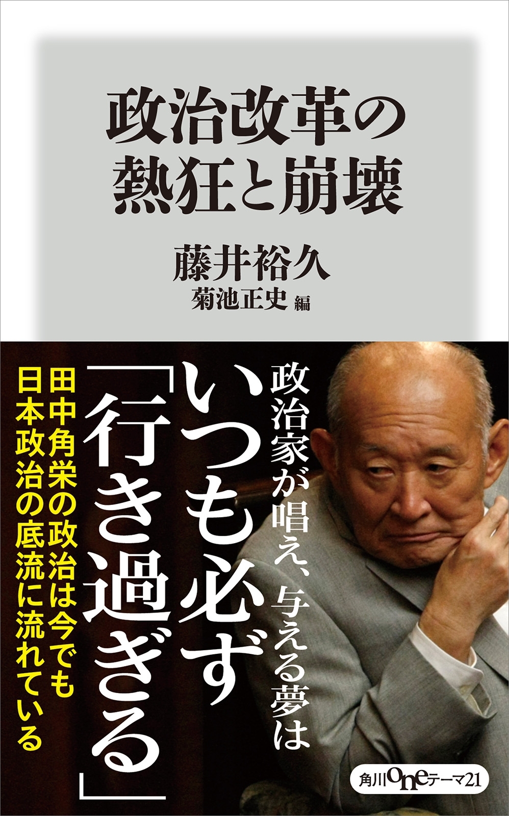 政治改革の熱狂と崩壊