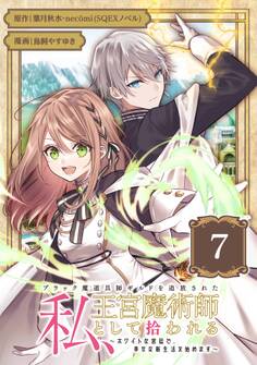 ブラック魔道具師ギルドを追放された私、王宮魔術師として拾われる ~ホワイトな宮廷で、幸せな新生活を始めます!~(コミック)【分冊版】 7
