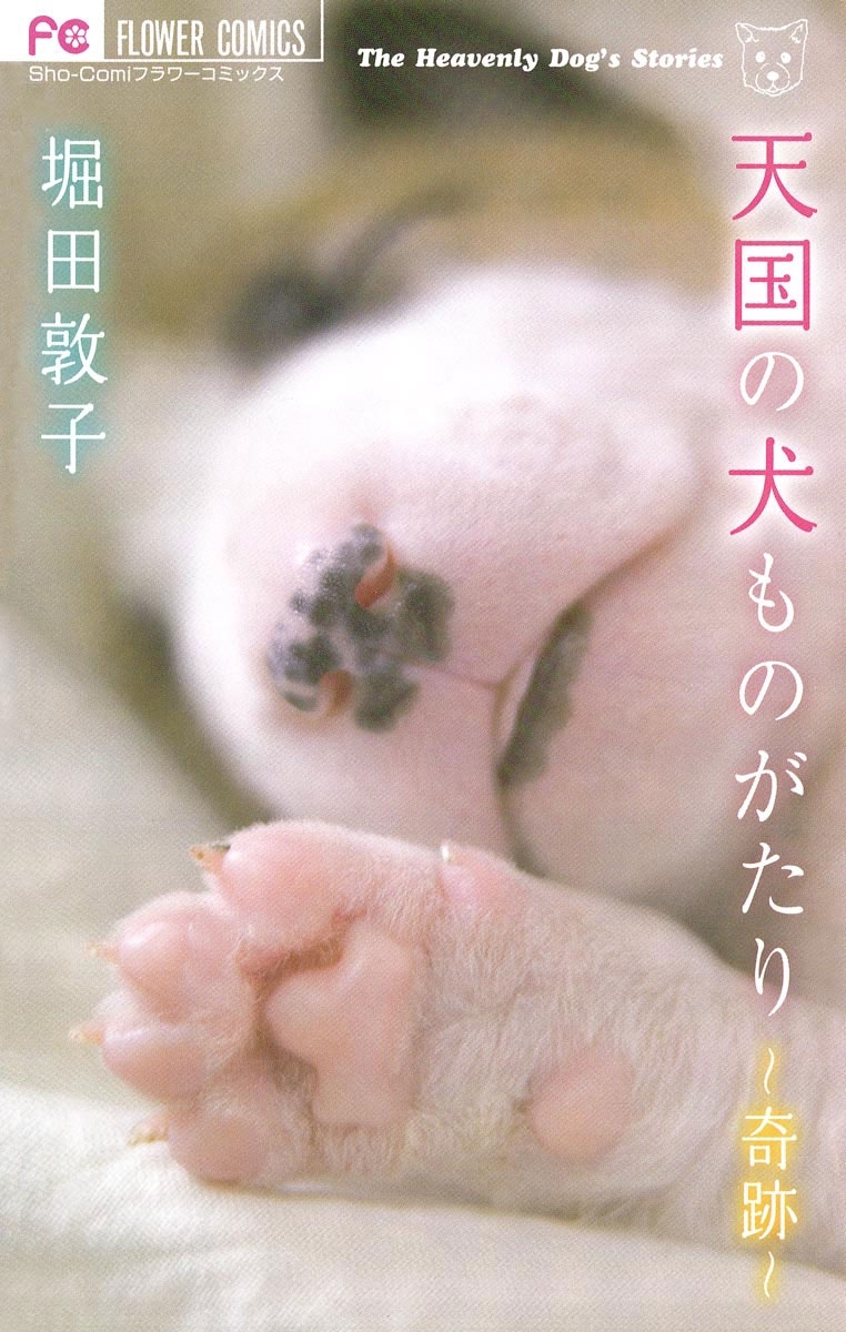 天国の犬ものがたり  ～奇跡～