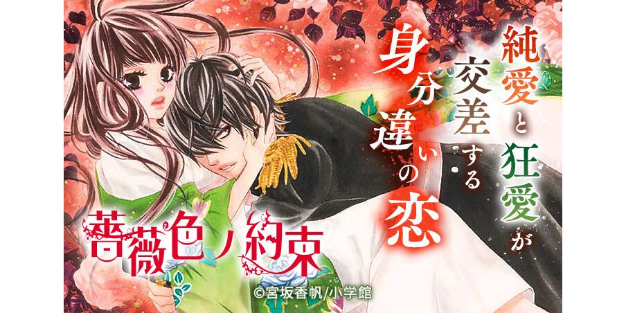 13話無料 薔薇色ノ約束 無料連載 Amebaマンガ 旧 読書のお時間です 13話無料 薔薇色ノ約束 無料連載 Amebaマンガ 旧 読書のお時間です