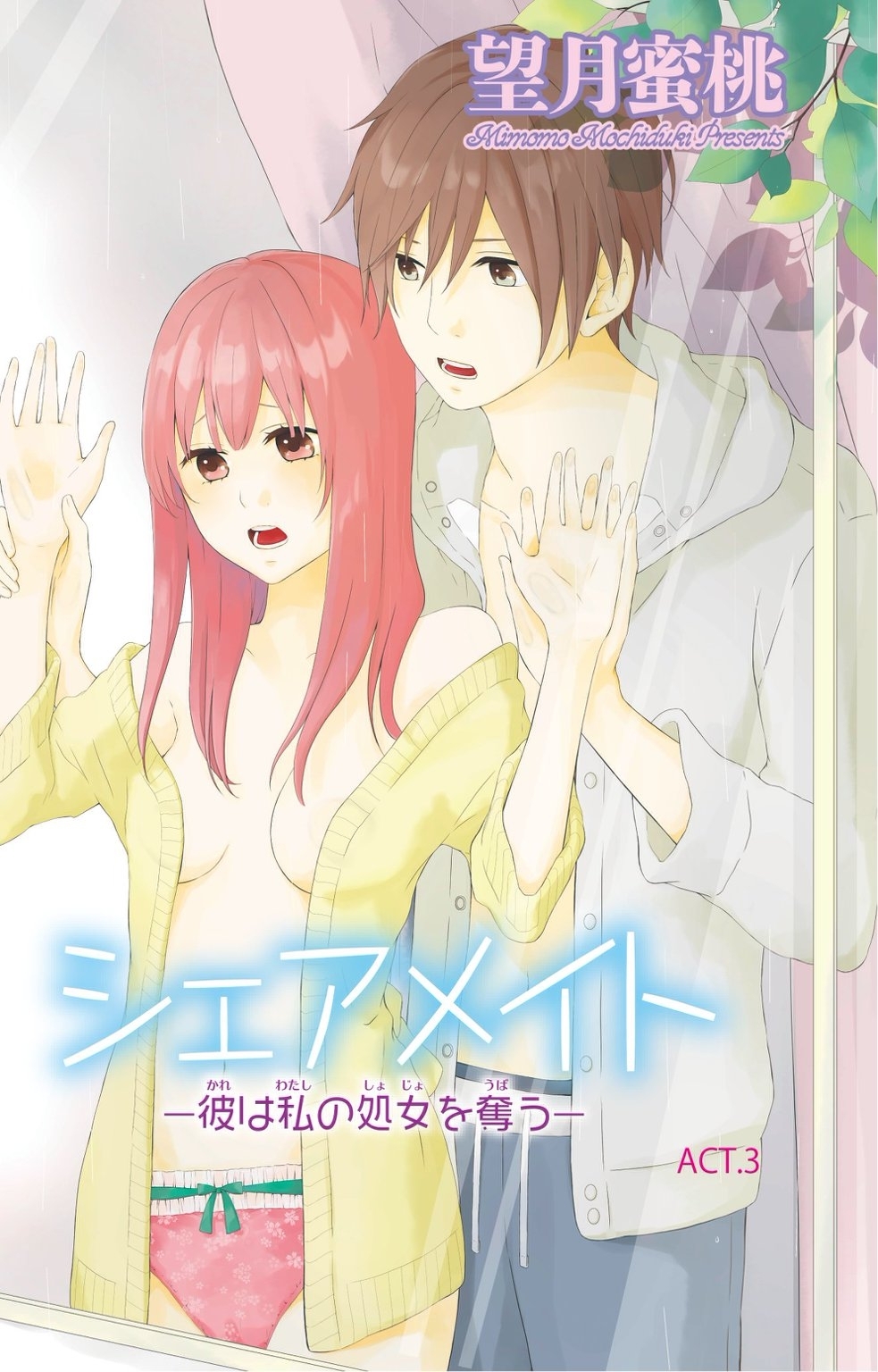 シェアメイト―彼は私の処女を奪う― 3