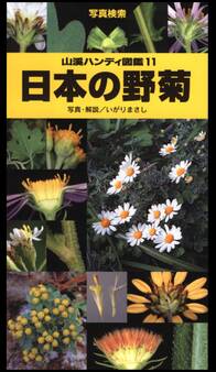 山溪ハンディ図鑑11 日本の野菊
