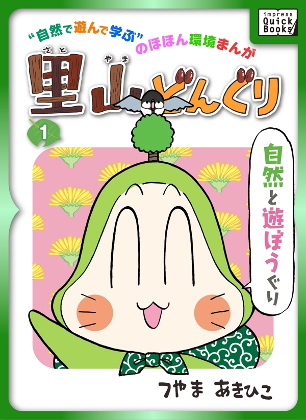 里山どんぐり 1