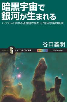 暗黒宇宙で銀河が生まれる