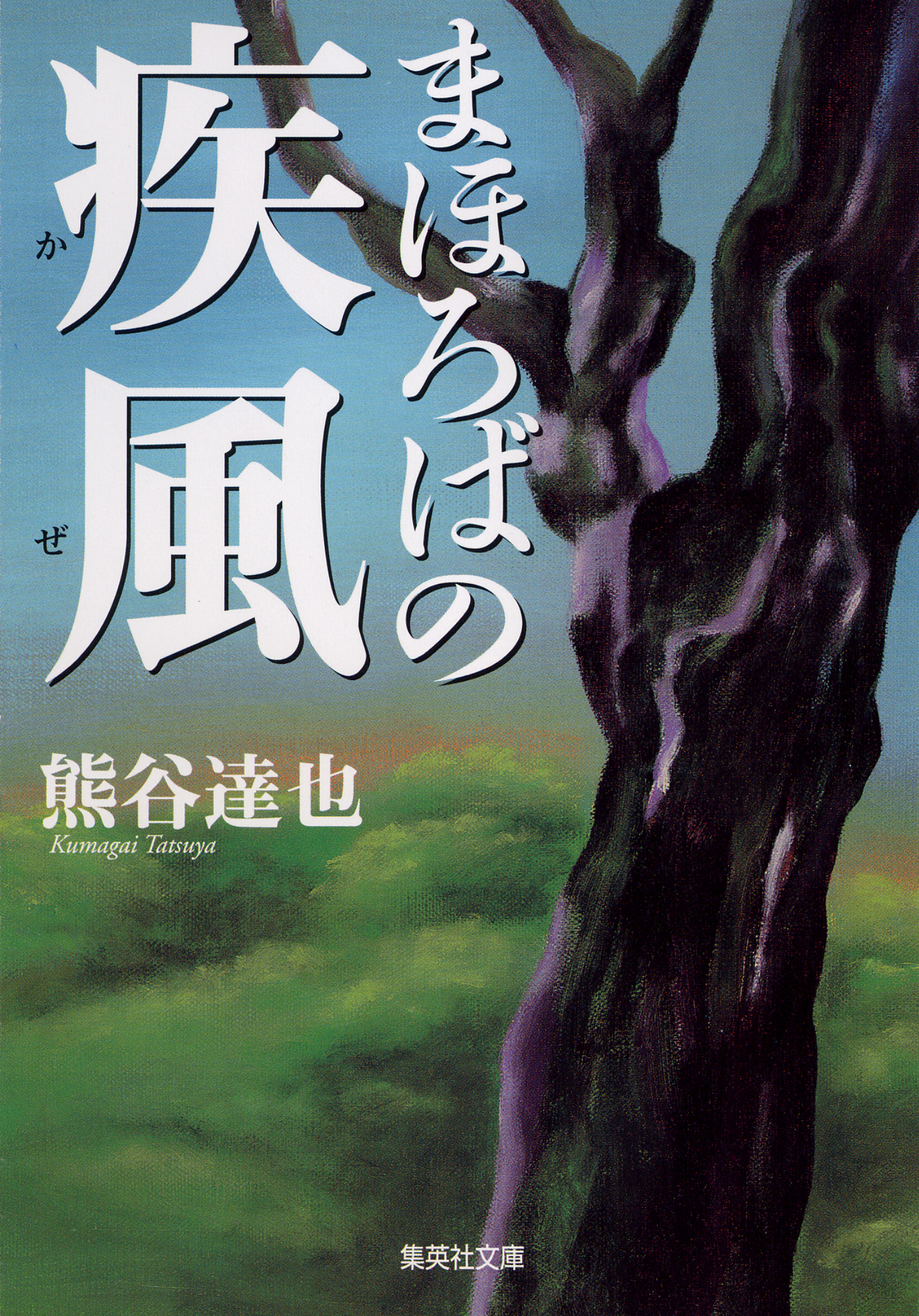 まほろばの疾風