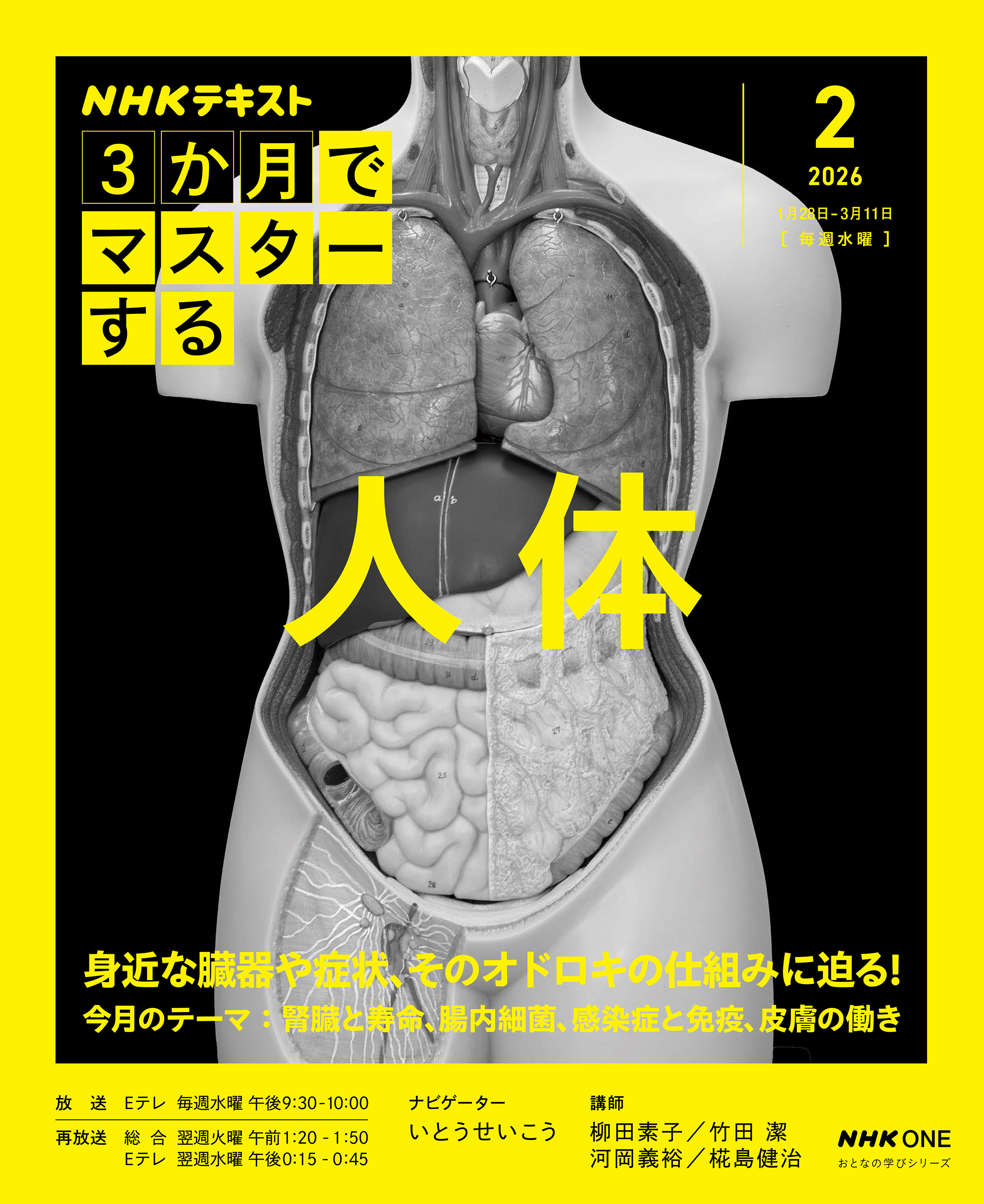 ＮＨＫ ３か月でマスターする