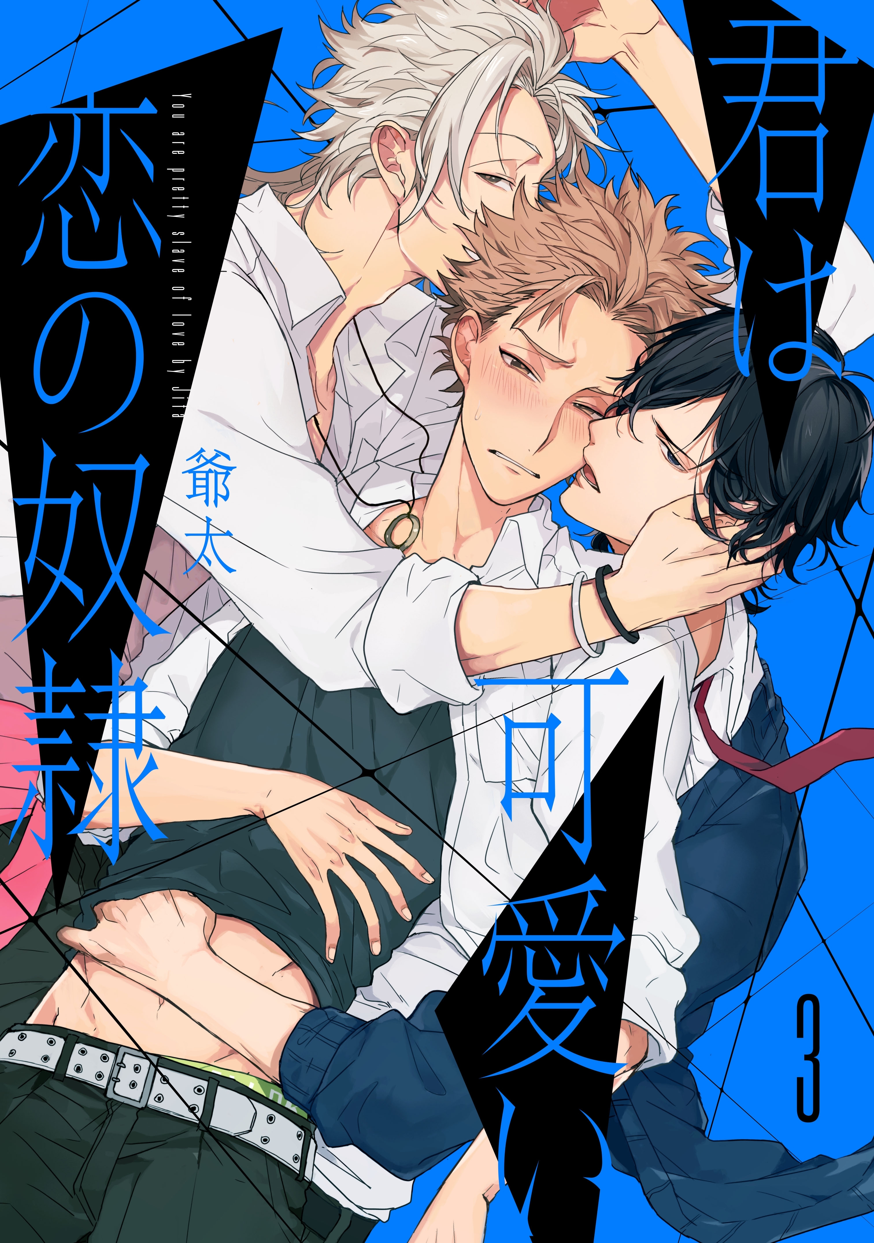 君は可愛い恋の奴隷　3【単話売】