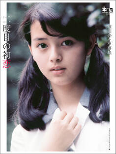 月刊平凡 GOLDEN BEST!! Vol.2 岡田奈々写真集 二度目の初恋 電子特別版