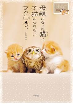 母親になった猫と子猫になりたいフクロウ。~フクとマリモの子育て日記~