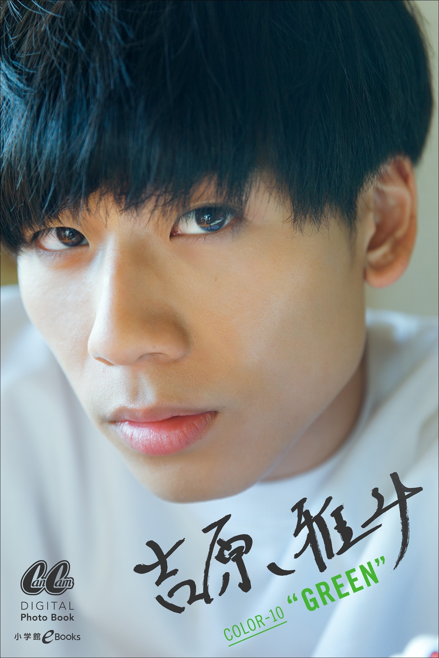 吉原 雅斗 COLOR-10　“GREEN”