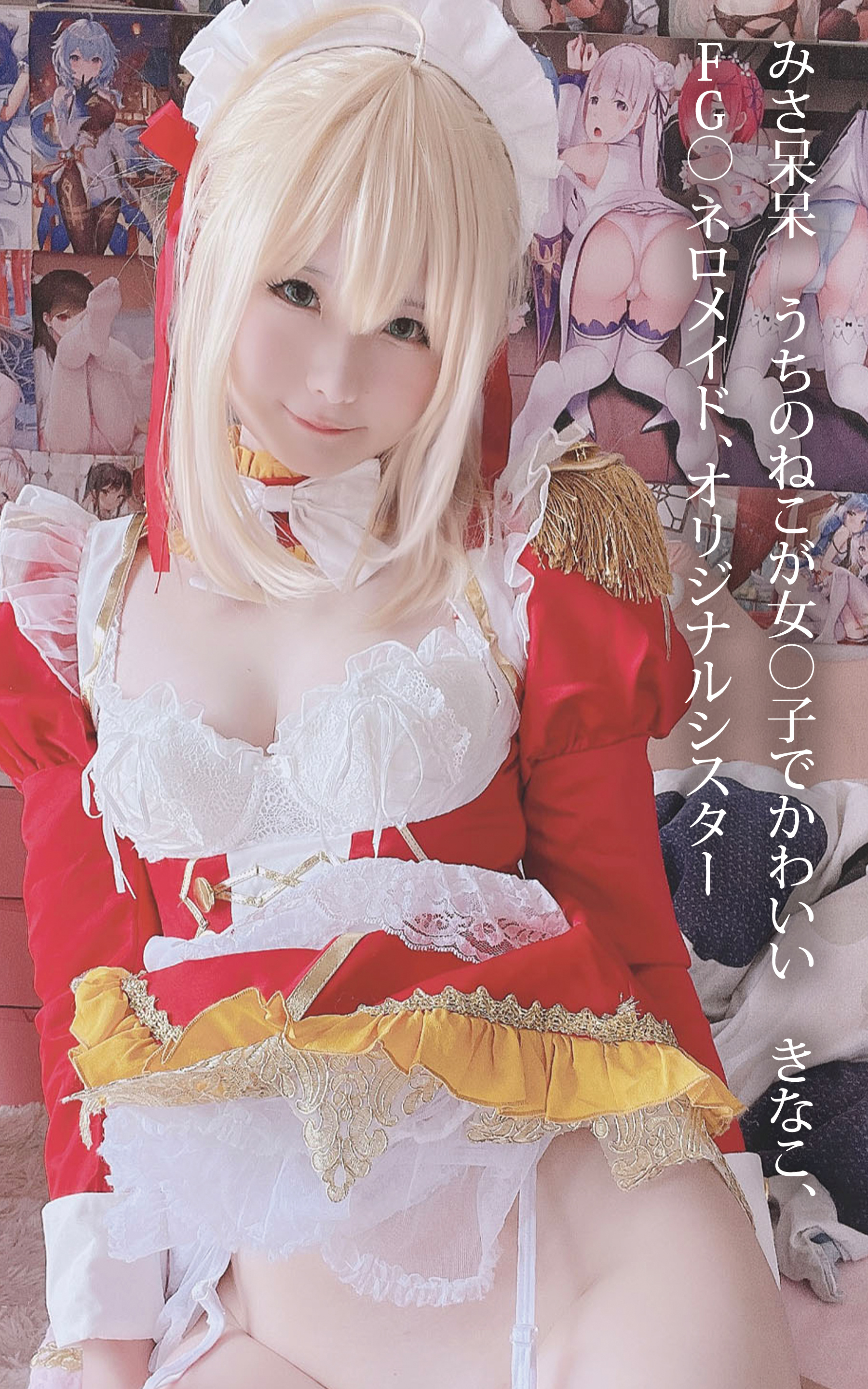 みさ呆呆　うちのねこが女○子でかわいい　きなこ、FG○ネロメイド、オリジナルシスター