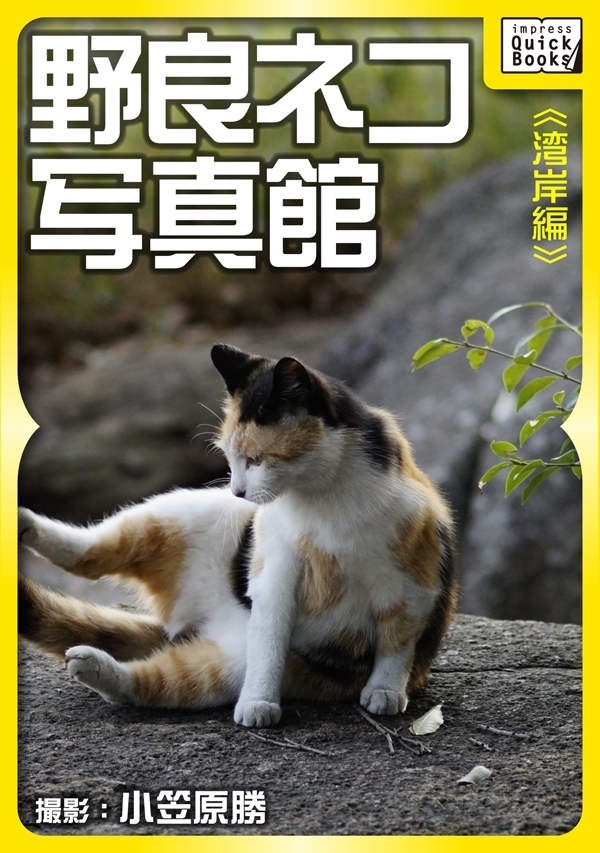 野良ネコ写真館【湾岸編】