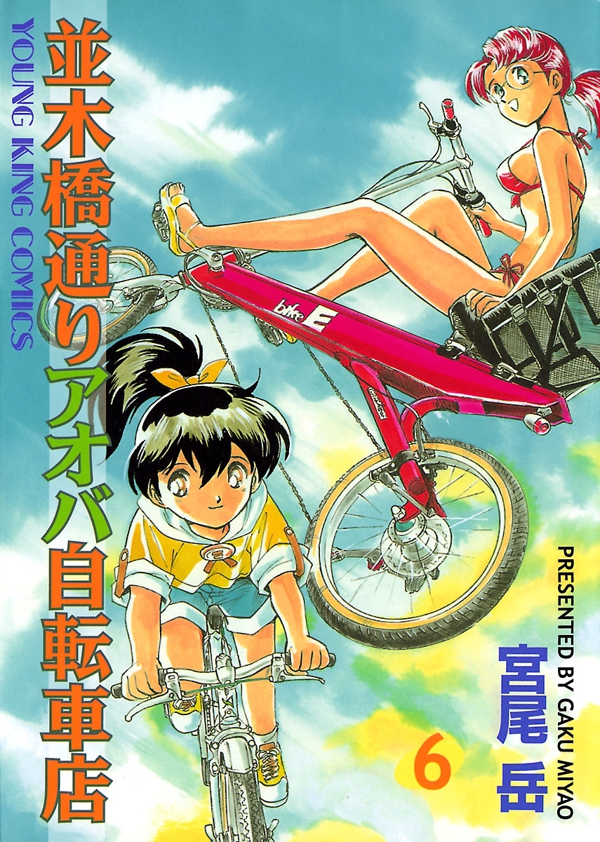 並木橋通りアオバ自転車店（６）