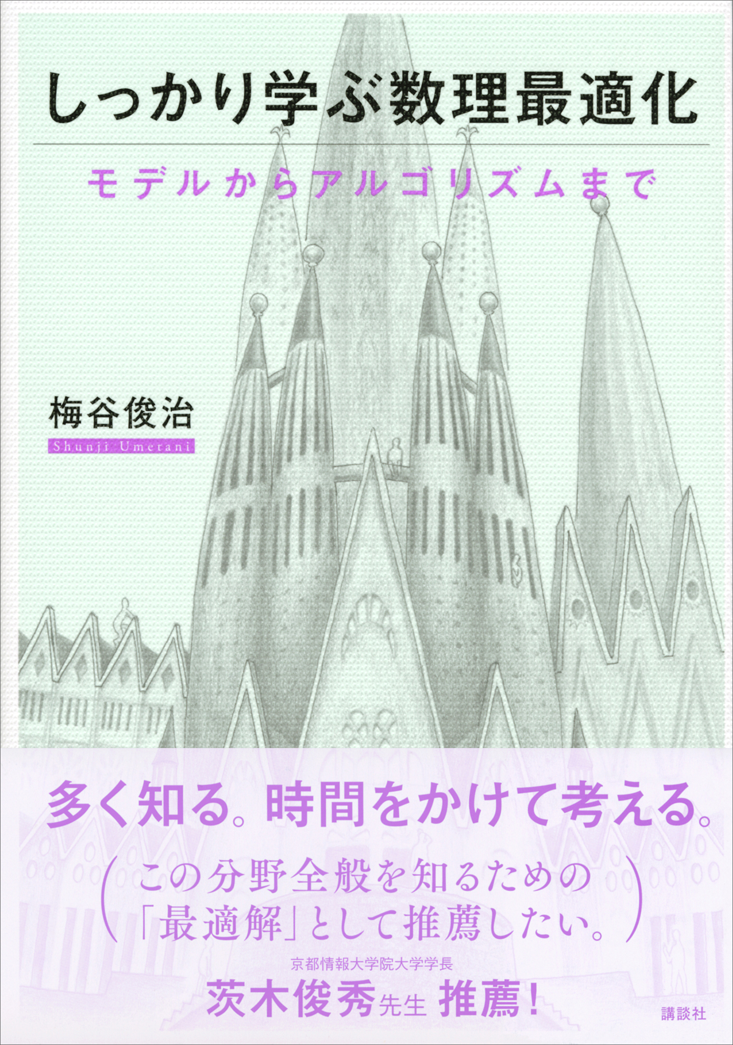 しっかり学ぶ数理最適化　モデルからアルゴリズムまで