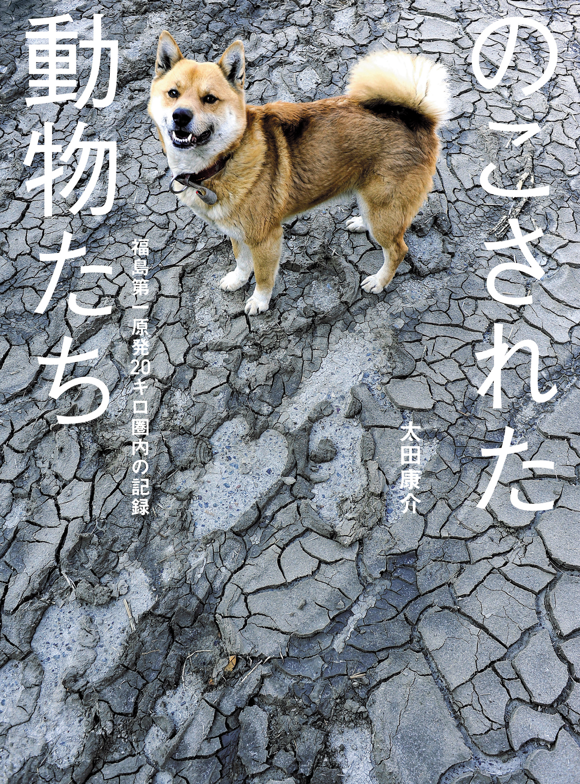 のこされた動物たち――福島第一原発20キロ圏内の記録