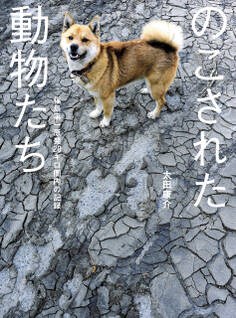 のこされた動物たち――福島第一原発20キロ圏内の記録