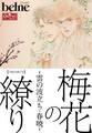 梅花の繚り~雲の波立ち・春暁~