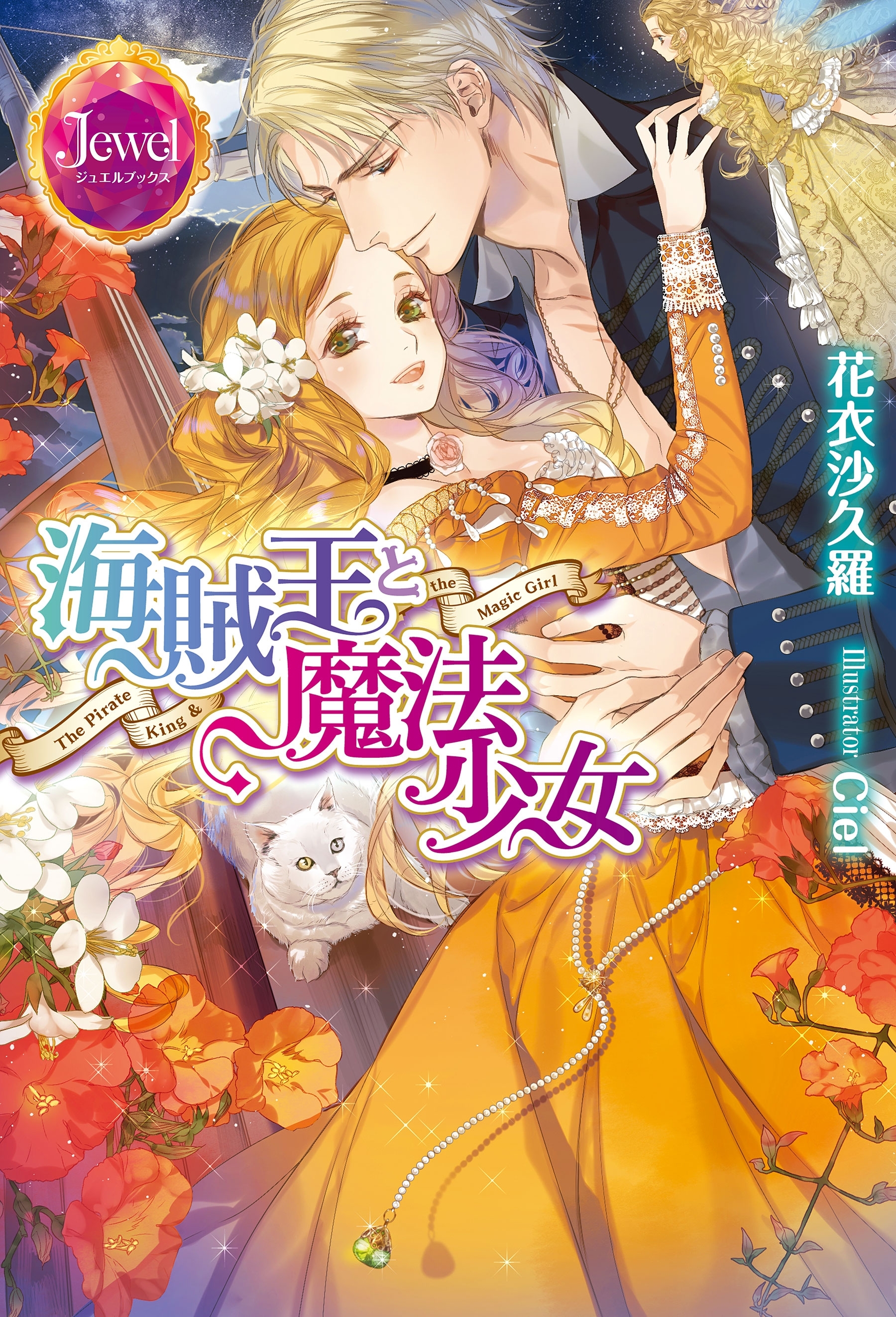 海賊王と魔法少女