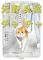 元野良猫チャチャ 本日も見まわり中