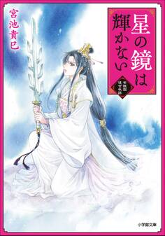 星の鏡は輝かない 紫微国後宮秘話