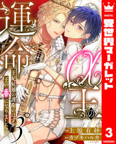 α王の運命~王妃候補の護衛のはずが王の番になりました~ 3